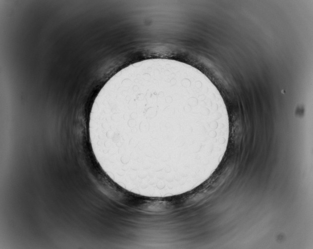X0000103420459200810241038