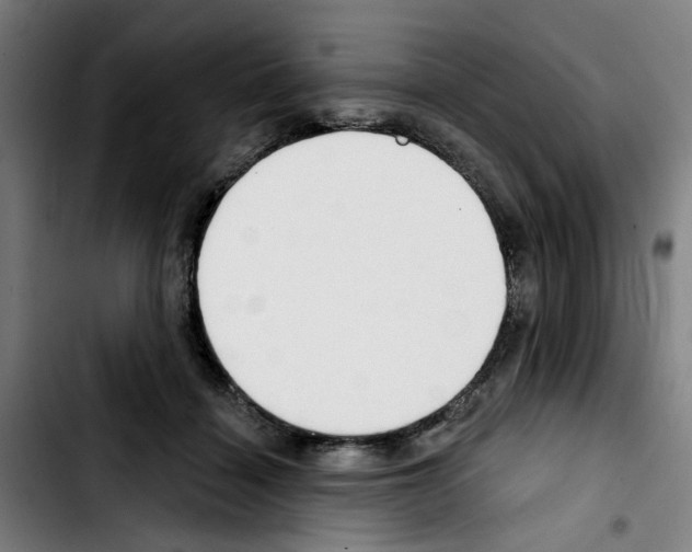 X0000103420460200810241038