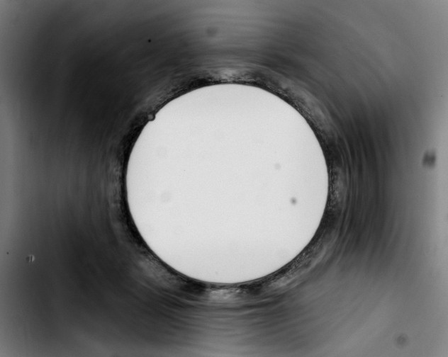 X0000103420461200810241038