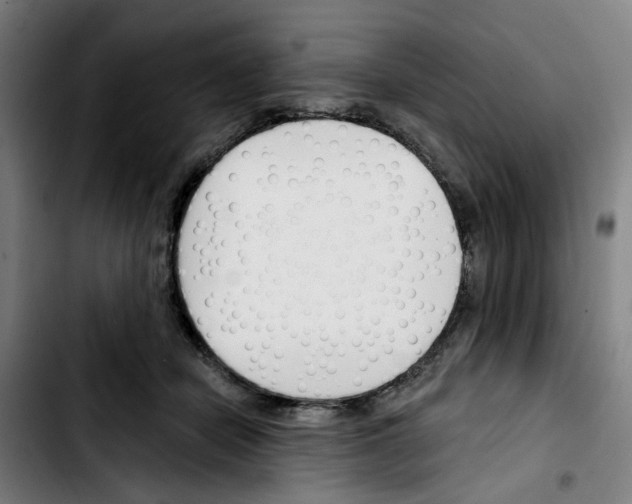 X0000103420462200810241038