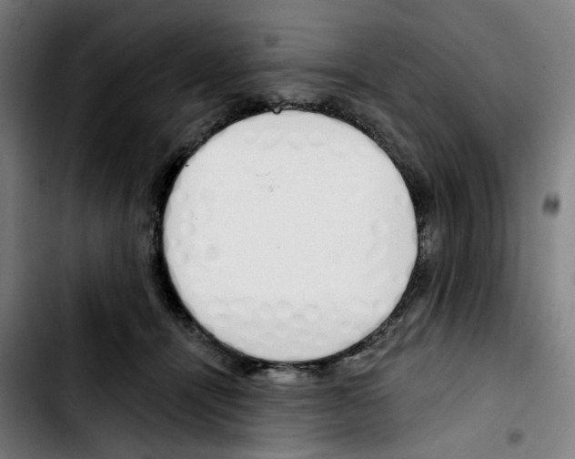 X0000103420464200810241038