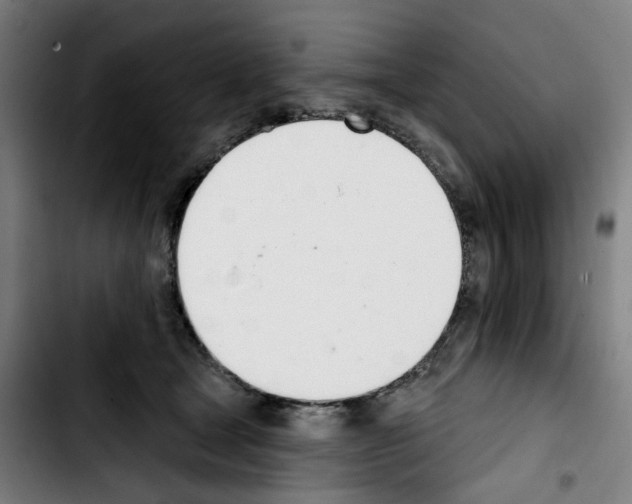 X0000103420465200810241038
