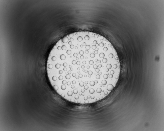 X0000103420466200810241038