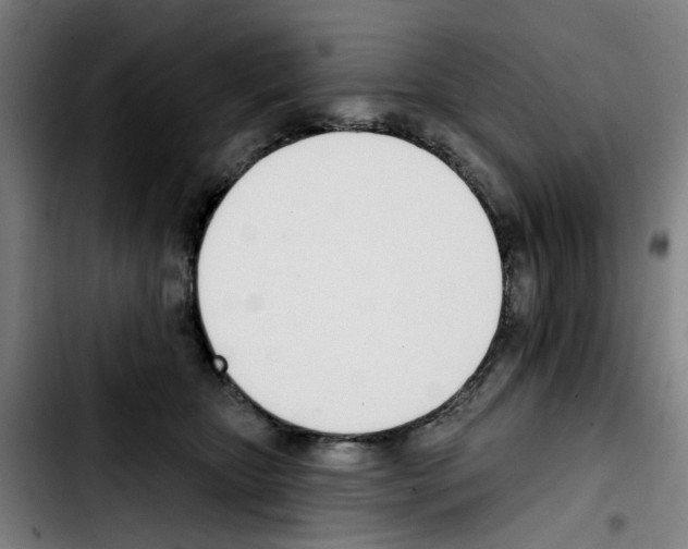 X0000103420467200810241038