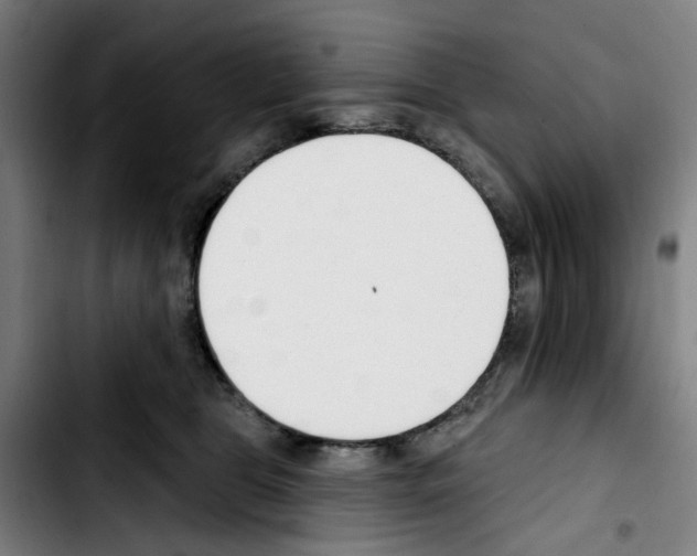 X0000103420469200810241039