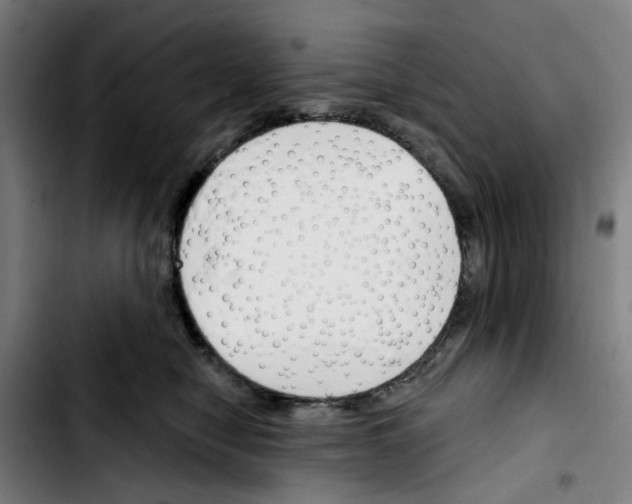 X0000103420470200810241039
