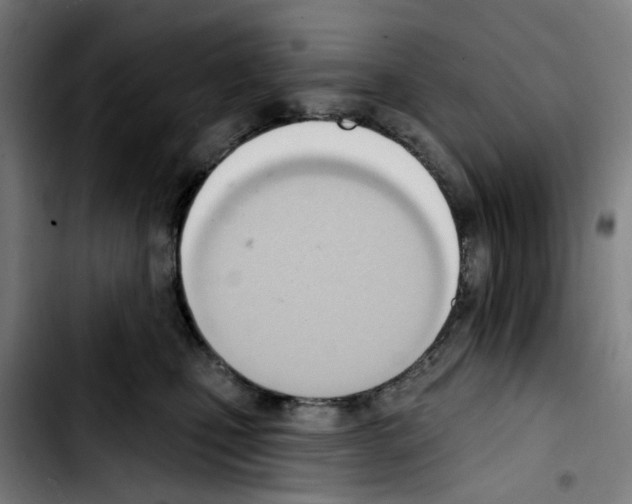 X0000103420471200810241039