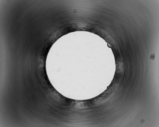 X0000103420472200810241039