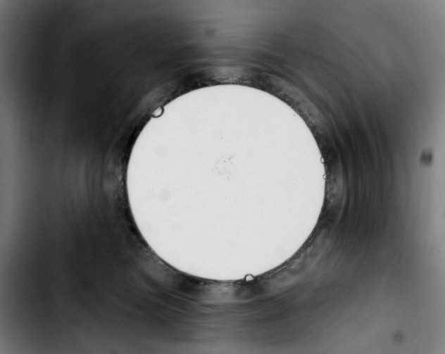 X0000103420473200810241039