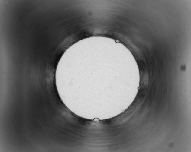 X0000103420475200810241039
