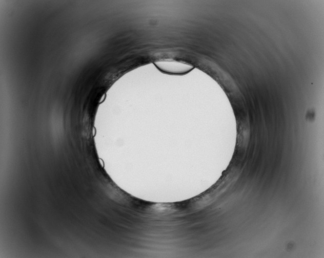 X0000103420477200810241039