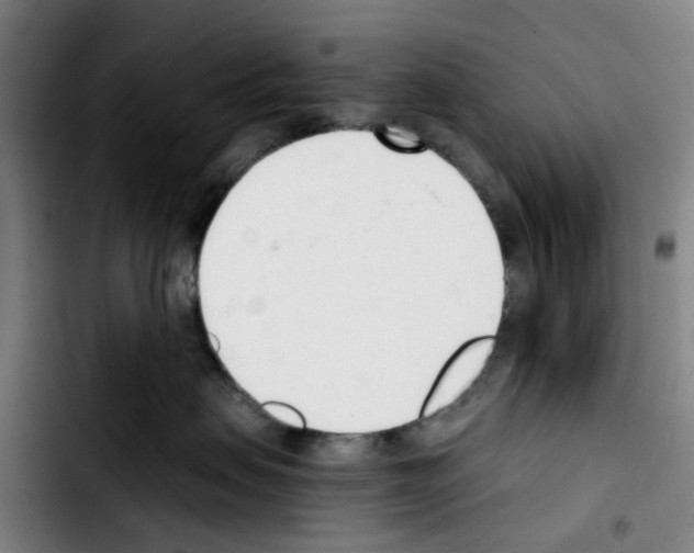 X0000103420479200810241039