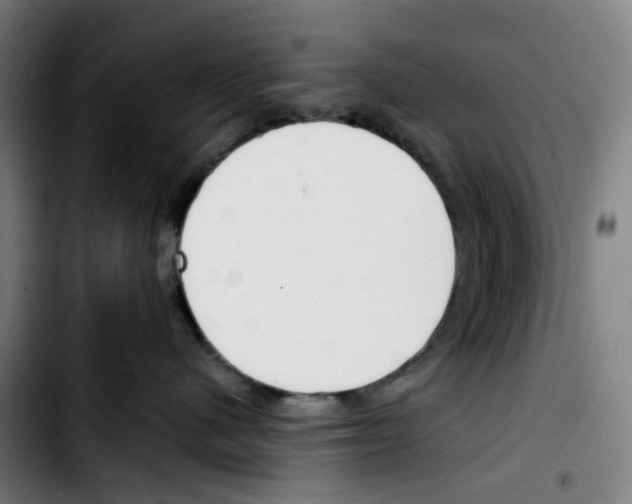 X0000103420480200810241039
