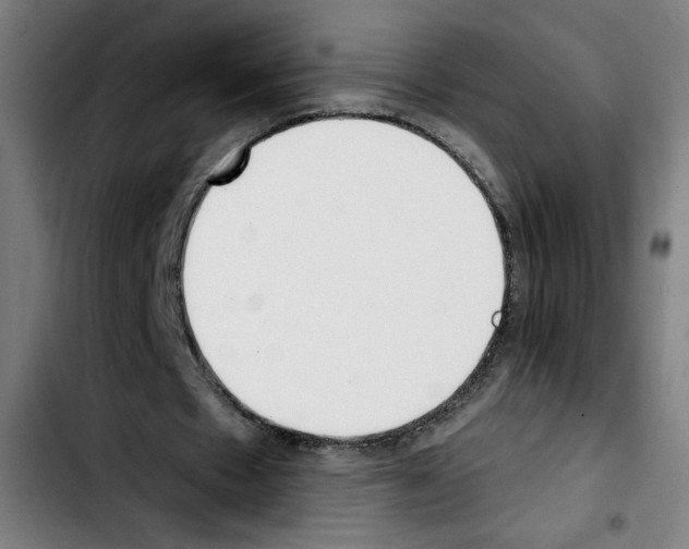 X0000103420481200810241038