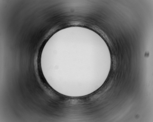 X0000103420482200810241038
