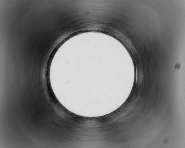 X0000103420483200810241038