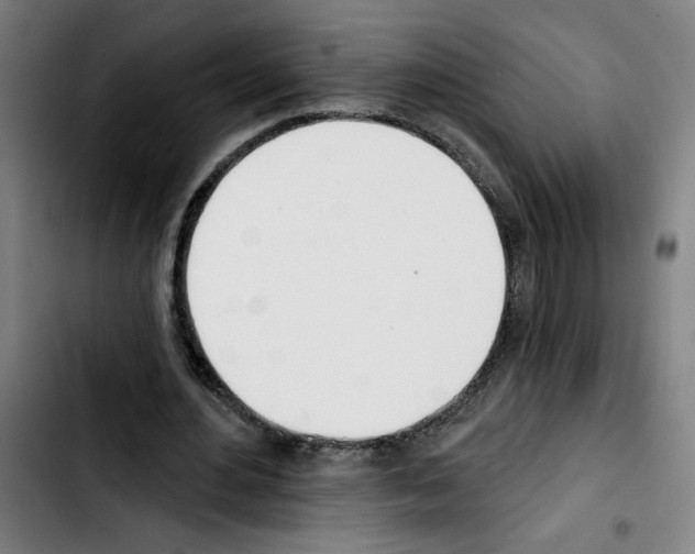 X0000103420484200810241038