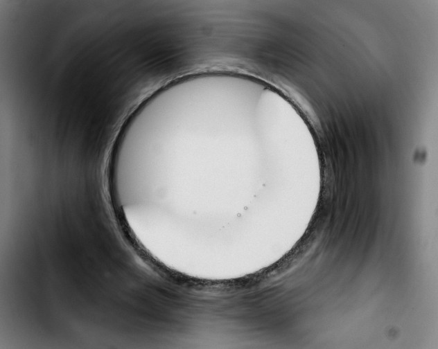 X0000103420485200810241038