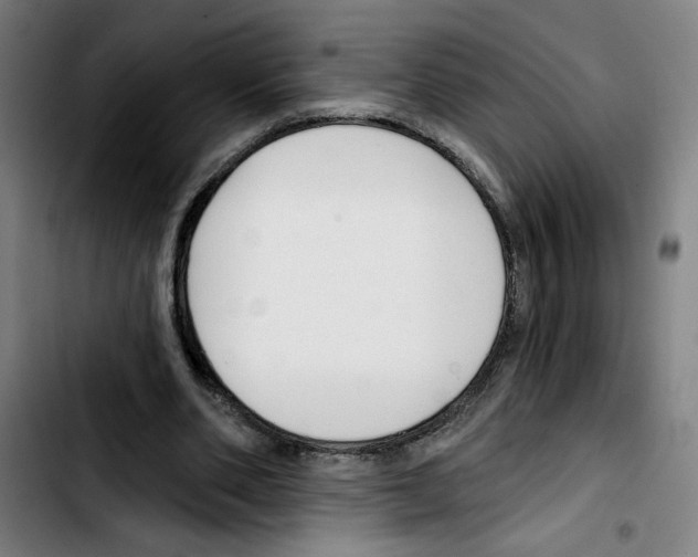 X0000103420486200810241038