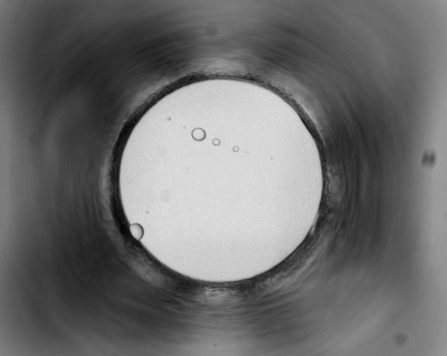 X0000103420487200810241038