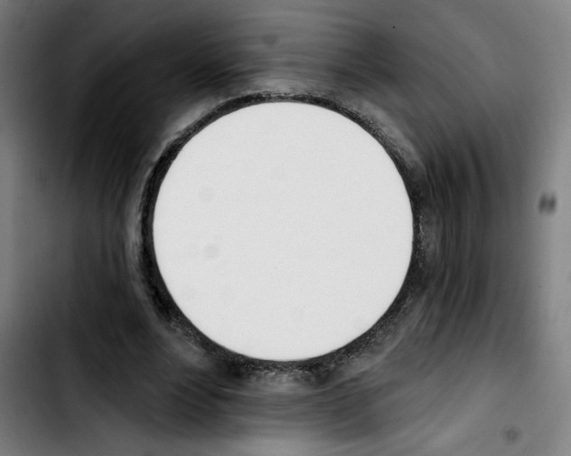 X0000103420488200810241038