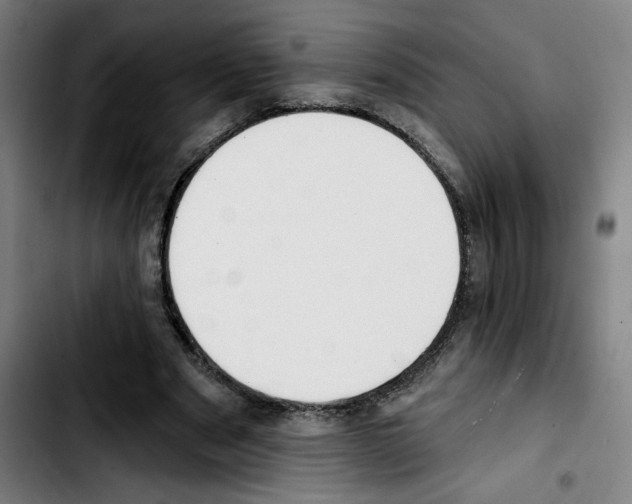 X0000103420489200810241038