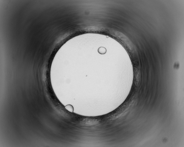X0000103420491200810241038