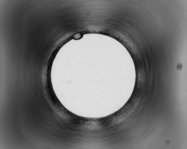 X0000103420492200810241038
