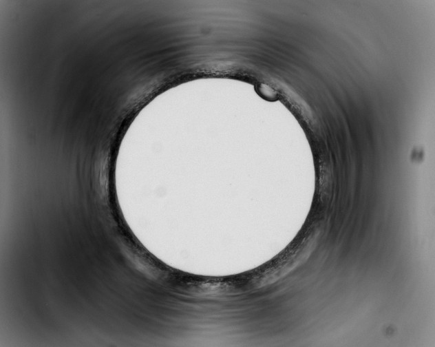 X0000103420493200810241038
