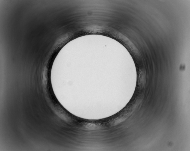 X0000103420494200810241038