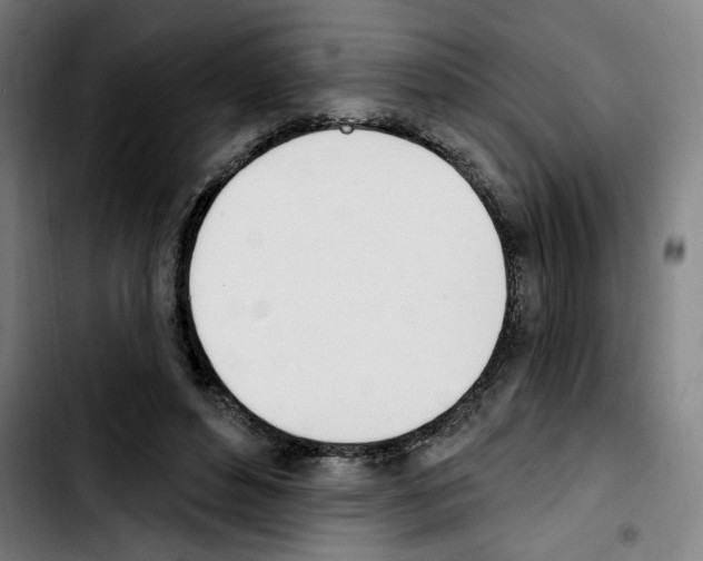 X0000103420496200810241038