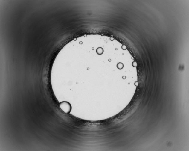 X0000103420497200810241038