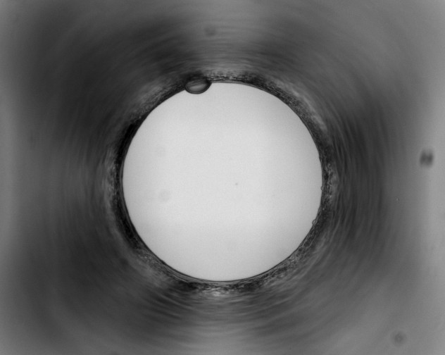 X0000103420498200810241038