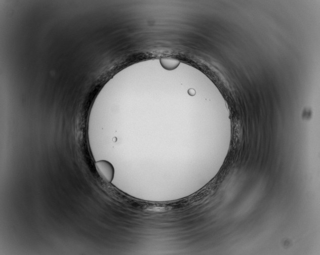 X0000103420499200810241038