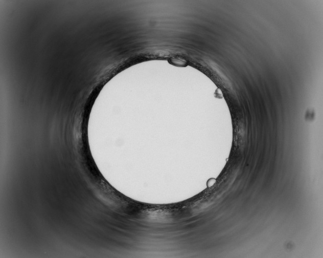 X0000103420500200810241038