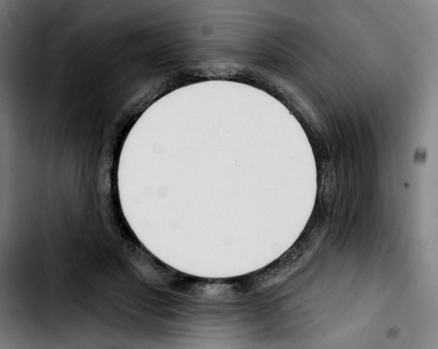 X0000103420501200810241038