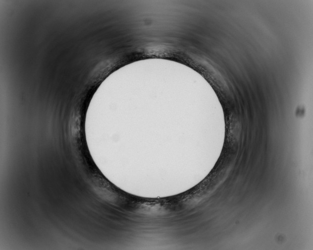 X0000103420502200810241038