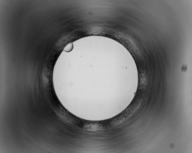X0000103420503200810241038