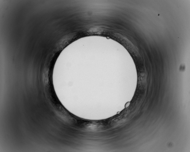 X0000103420504200810241038