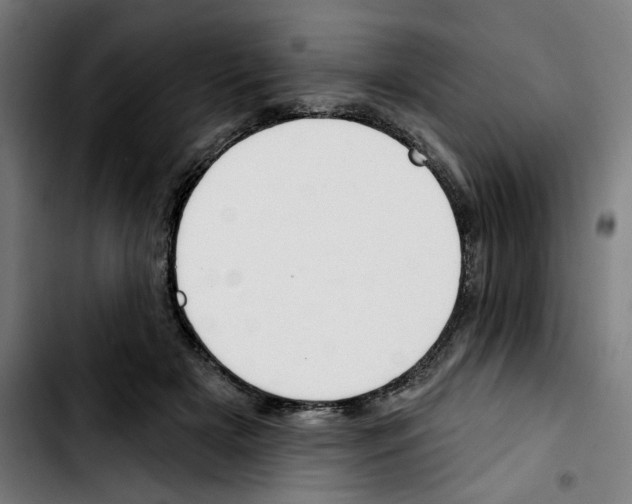 X0000103420505200810241038