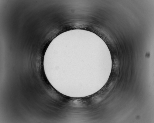 X0000103420506200810241037