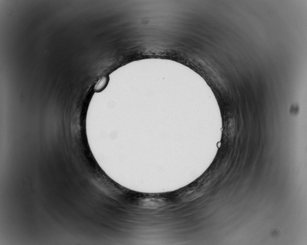 X0000103420508200810241037