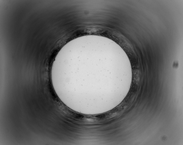 X0000103420510200810241037