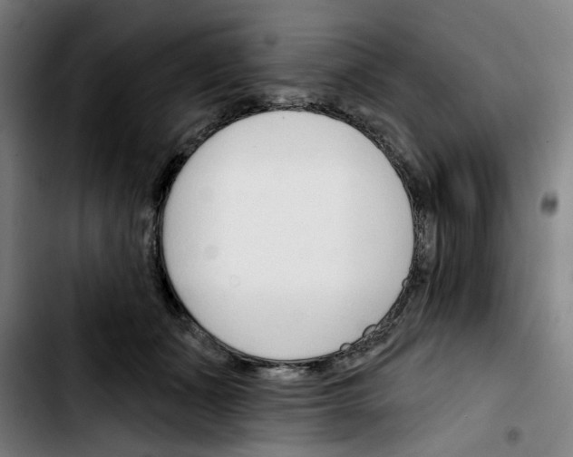 X0000103420511200810241037