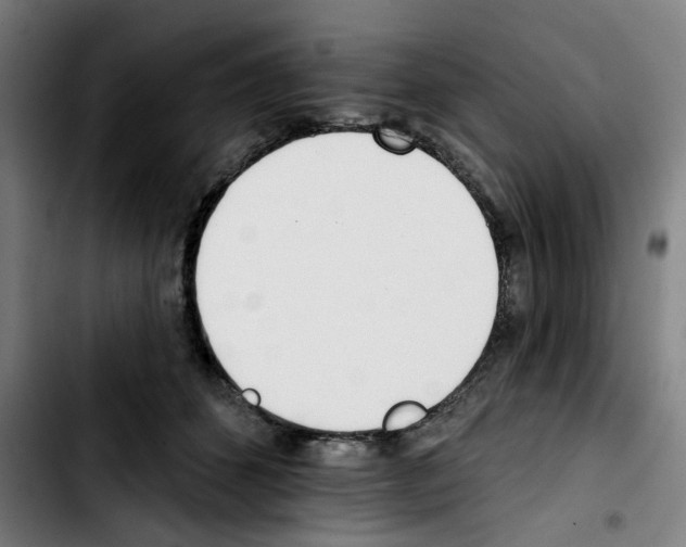 X0000103420512200810241037