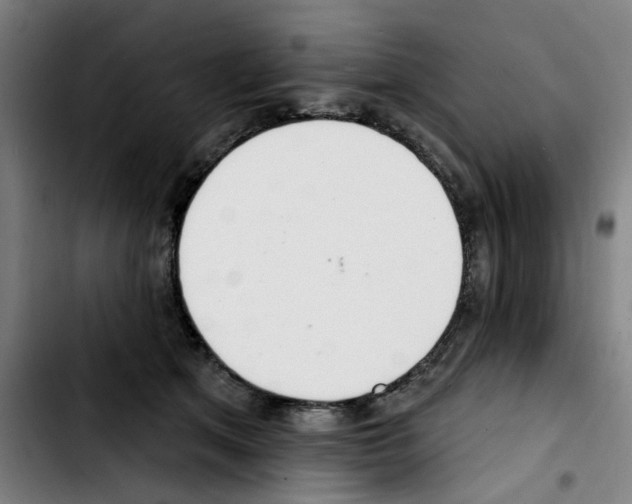 X0000103420513200810241037