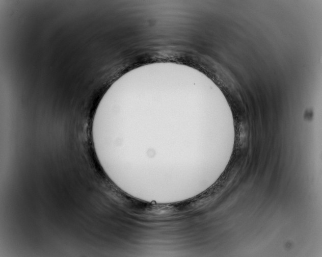X0000103420514200810241037