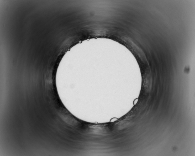 X0000103420516200810241037