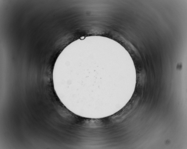 X0000103420517200810241037