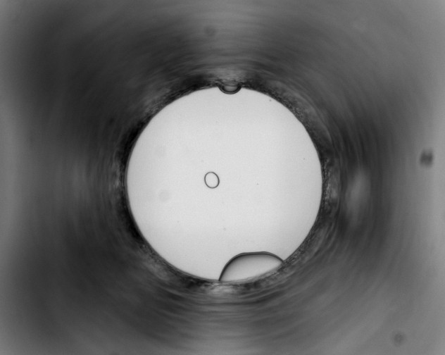 X0000103420518200810241037